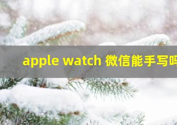 apple watch 微信能手写吗